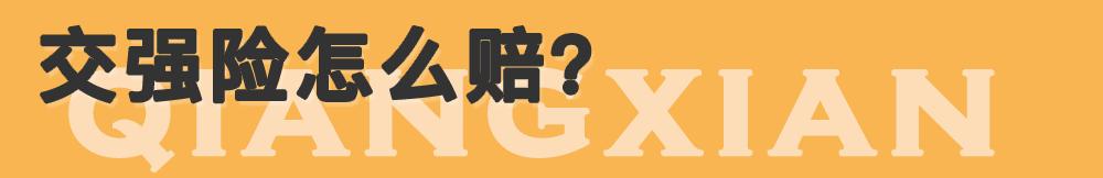 为什么不建议只买交强险?