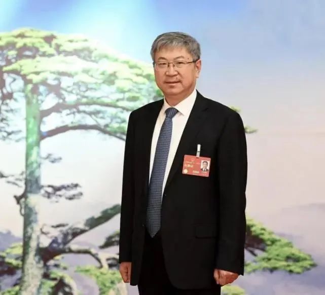 两会时间:2023年汽车行业代表都提了点啥?