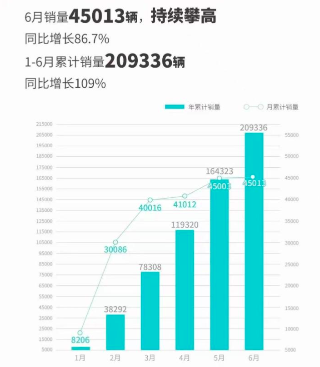 6月新能源产销分析汇：长城和红旗公布数据，理想飙升超预期！