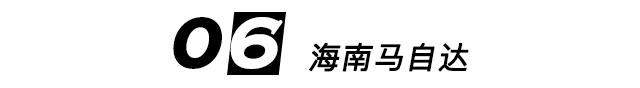 已消失的合资品牌 可能太年轻的你还没见过