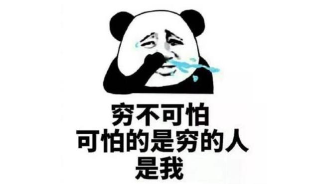 12月轿车销量TOP10,两款自主车上榜,特斯拉割韭黄进前十