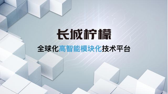 柠檬、坦克、咖啡，这是长城的秘密武器？