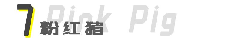 经典的赛车涂装 就算不懂车也能认出大半