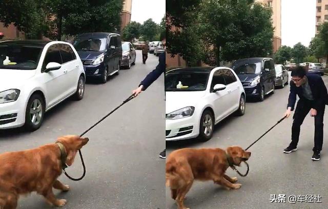 #辟谣#狗尿有很强的腐蚀性,会导致轮胎“爆胎”,是真的吗?