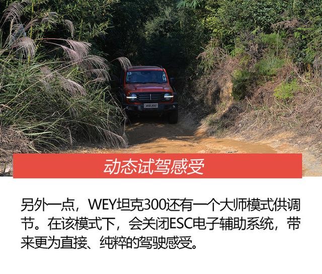 配置高到惊人/国产越野利器 试全新WEY坦克300