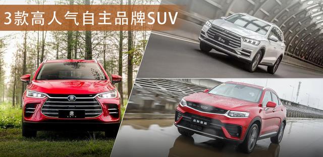 这3款高人气自主品牌SUV，真的值得买吗？