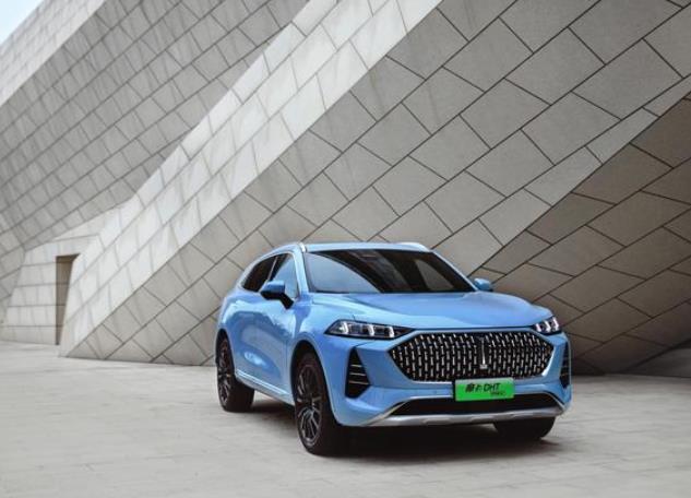纯电续航204公里，29.5万起售的摩卡DHT-PHEV，挑战理想ONE？