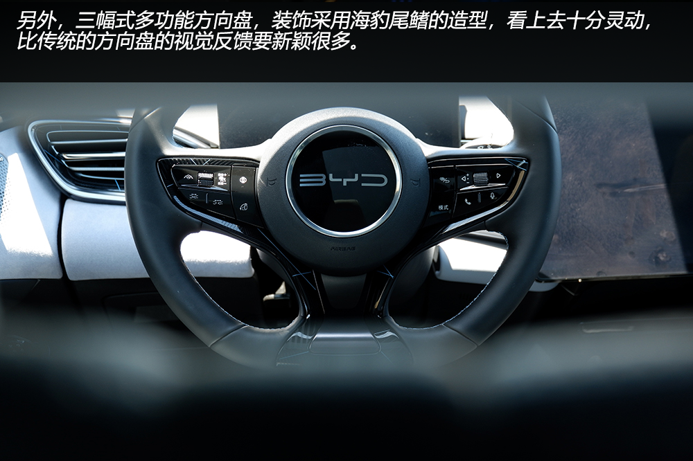 3.8秒破百，预售21.28万起的比亚迪海豹给Model 3留路了吗？