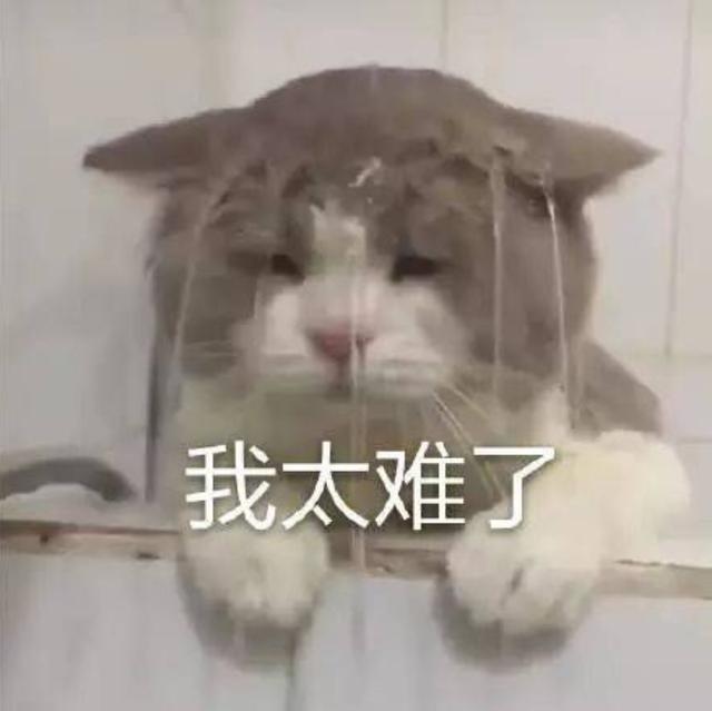 2019年车市寒冬？可还是有三家车企完成了年定下的"销量Flag"
