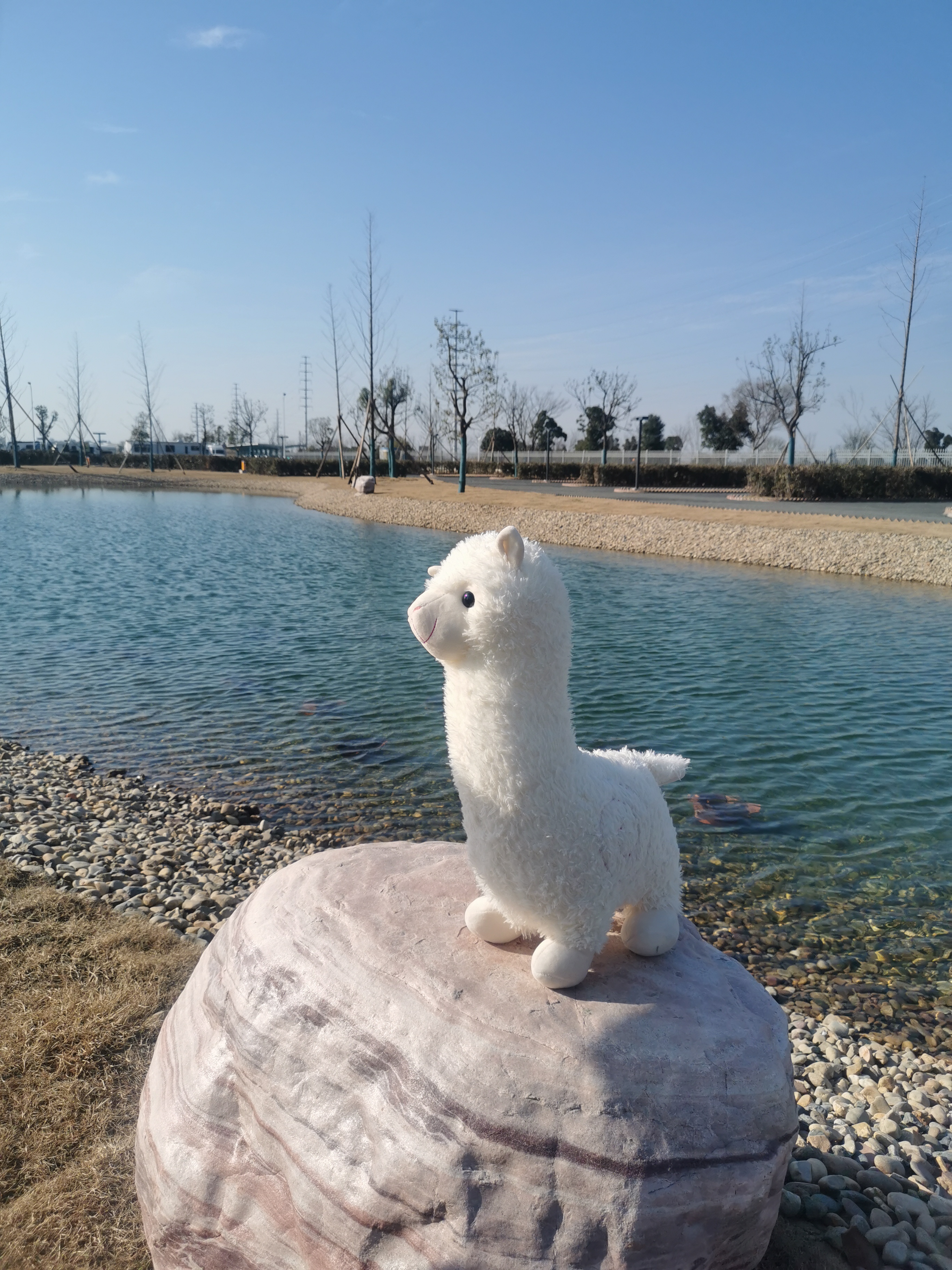 上汽大通MAXUS溧阳房车基地开营,一起参与冬日狂欢