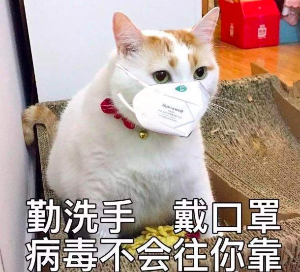 想买中型SUV的再等等，这几款车款款重量级
