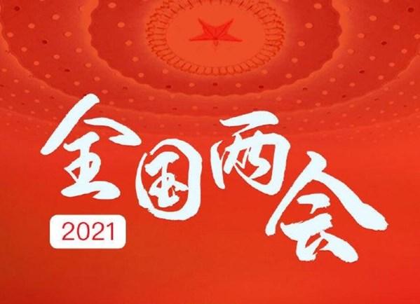 2021两会汽车声音|芯片、新能源、智能科技依旧是焦点