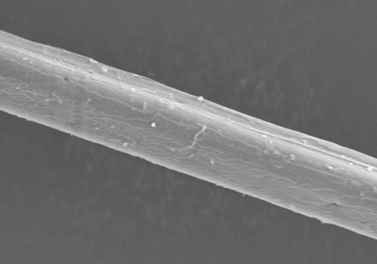 低碳 环保 轻量化 新一代蒙迪欧行业首次应用竹原纤维可再生材料