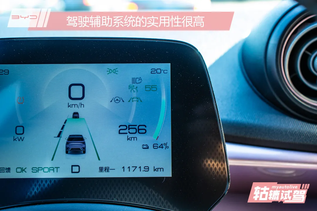 轱辘试驾|奔驰S级专家操刀，比亚迪海豚骑士版怎么样？