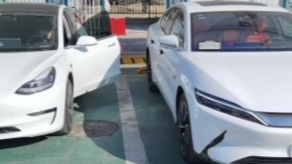 停车场偶遇Model 3和比亚迪汉，差距一目了然