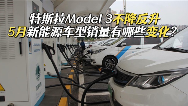 5月新能源车型销量，Model 3不降反升，宏光MINIEV再夺冠