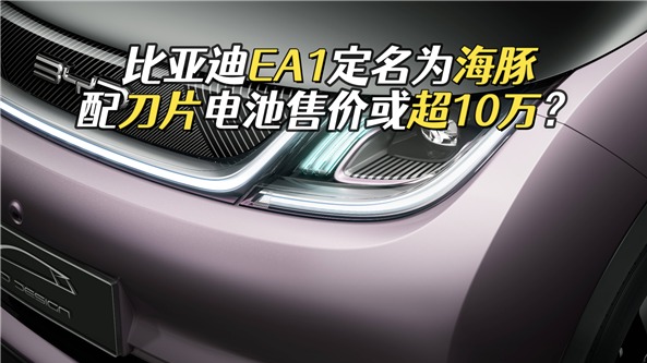 【新能源选购指南】比亚迪EA1定名为海豚，配刀片电池售价或超10万？