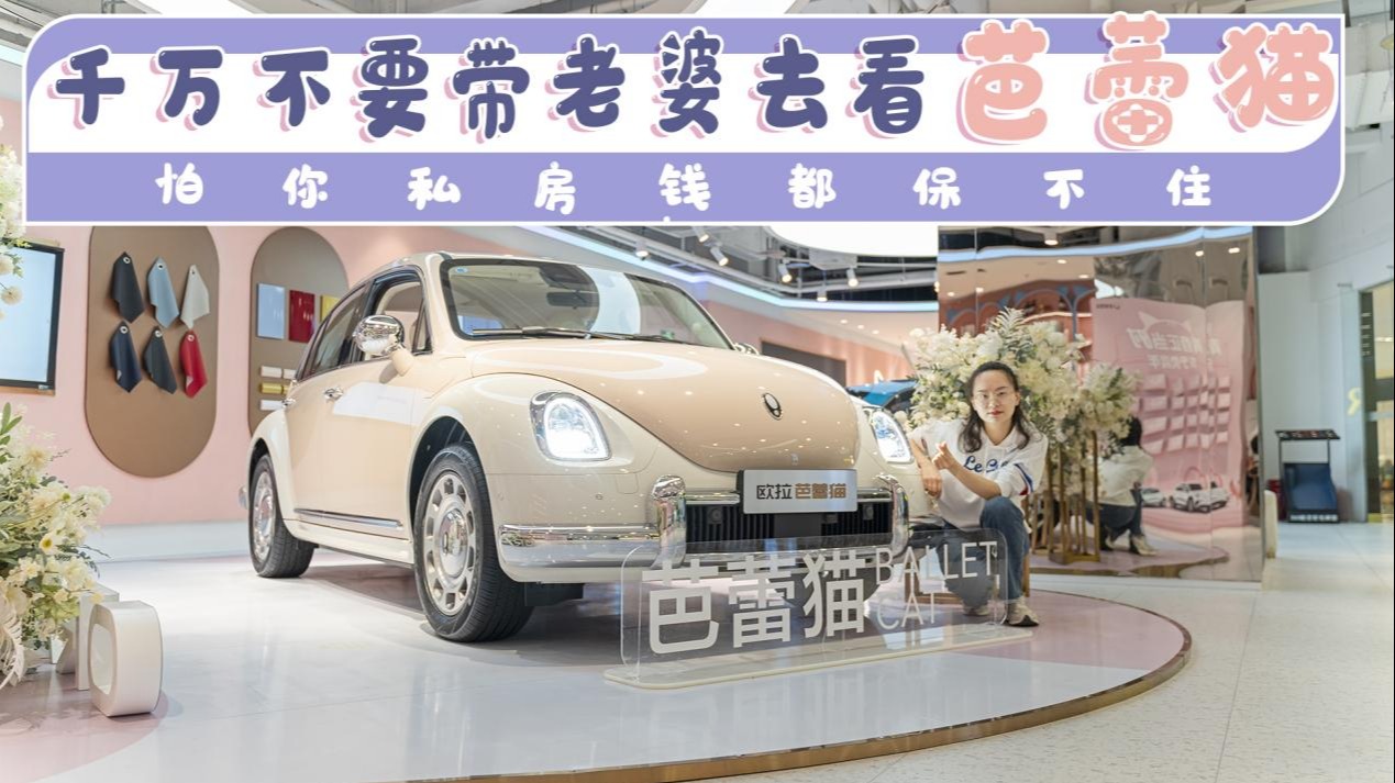探店实拍：芭蕾猫真的懂女人吗？这四个理由足以说明问题