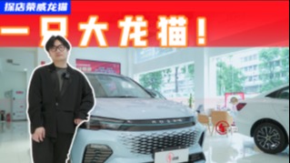 后排中央没头枕？探店荣威龙猫：这些优缺点必须了解清楚