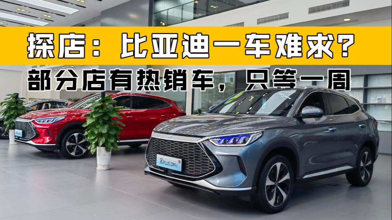 探店：比亚迪一车难求？部分店有热销车，只等一周