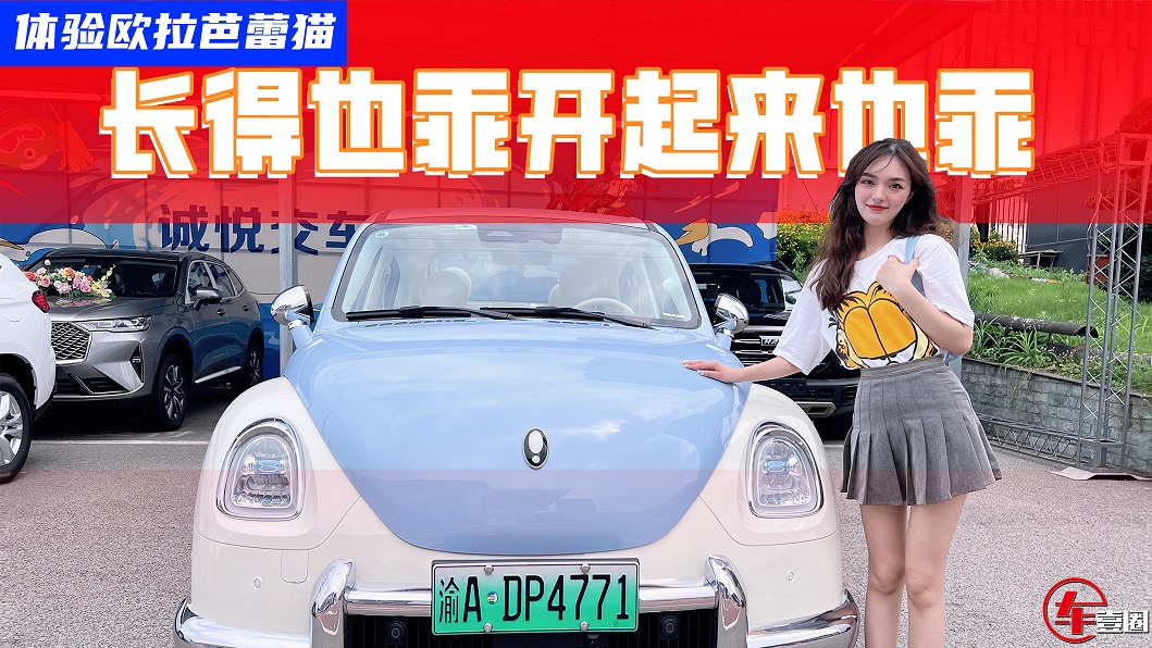 不仅长得乖，开起来也乖！青妮给芭蕾猫评了多少分？