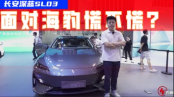 当长安深蓝SL03遇上比亚迪海豹，同价对比之下，谁更值得买？