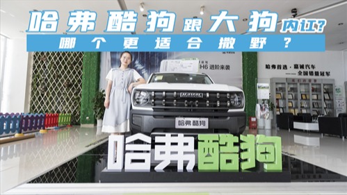 探店：加了JVC品牌18扬声器，哈弗酷狗比大狗更值得买？