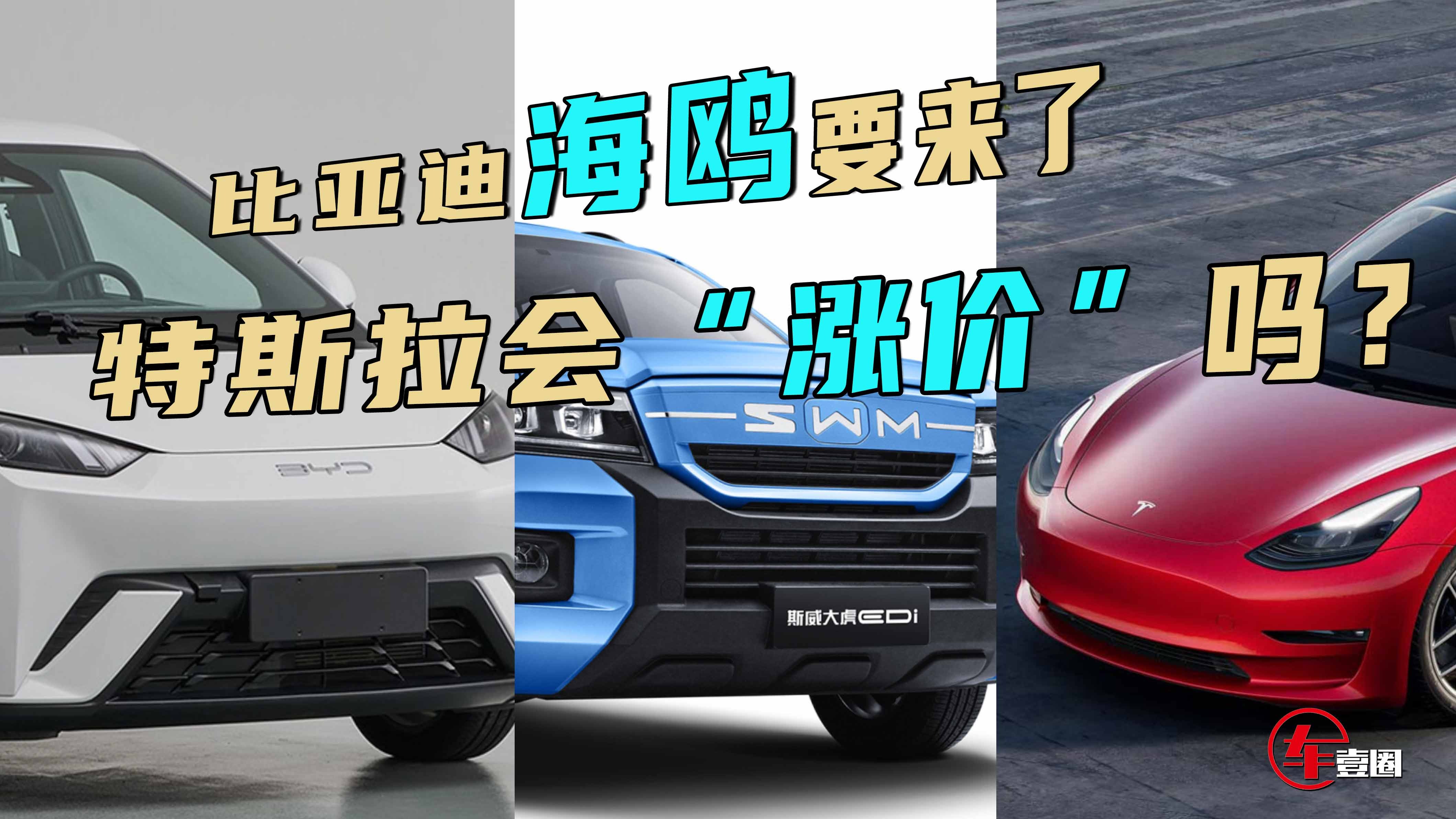 壹周问答：比亚迪海鸥如何？特斯拉国外涨价，国内跟么？