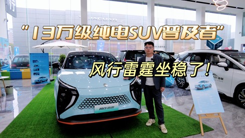 “13万级纯电SUV普及者”，风行雷霆坐稳了！