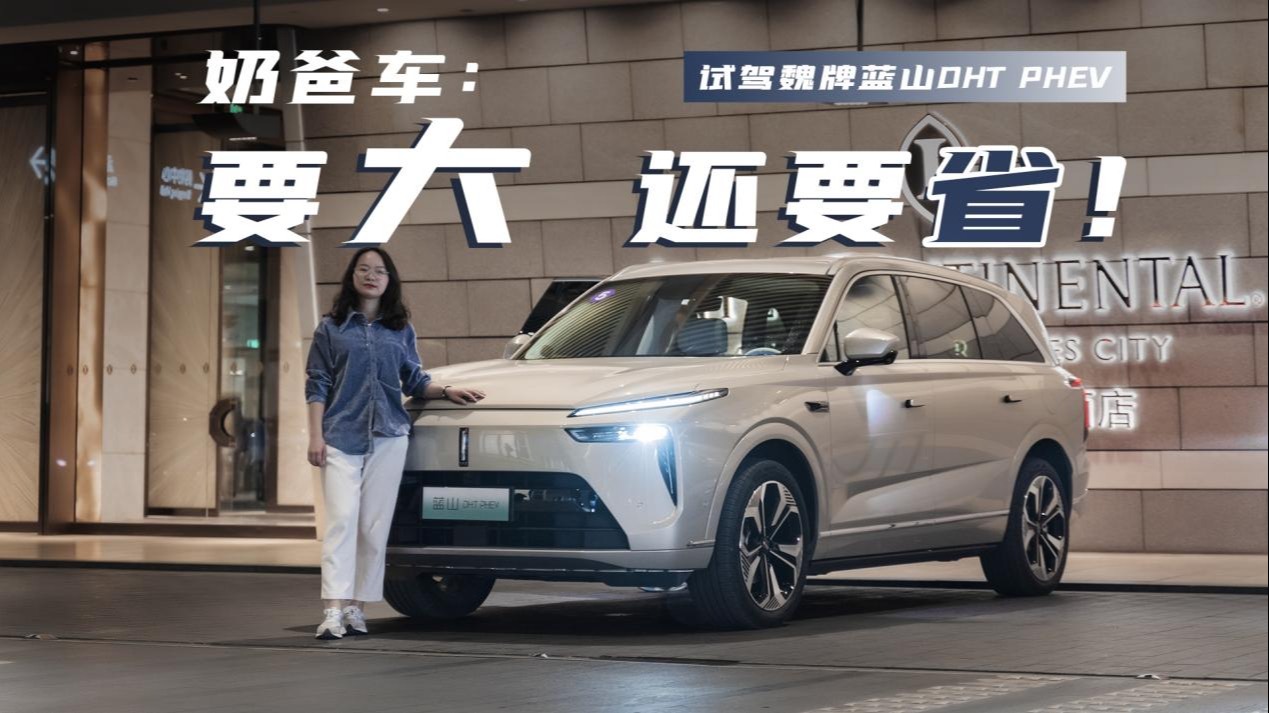 浅试魏牌蓝山：靠空间大踢馆理想L8？略胜一筹的奶爸车选择！