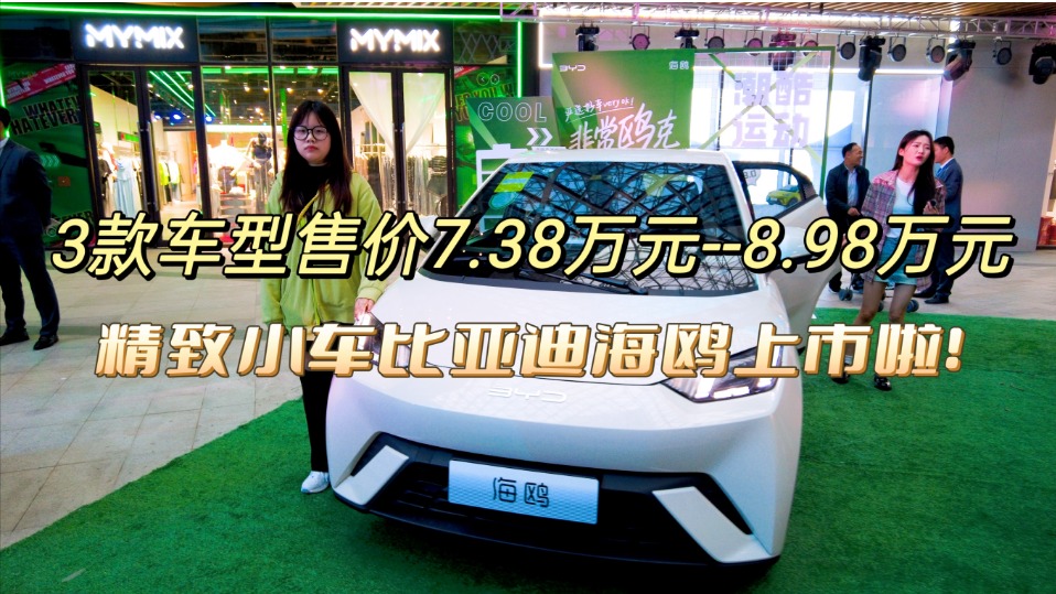 3款车型售价7.38万元-8.98万元，精致小车海鸥上市啦