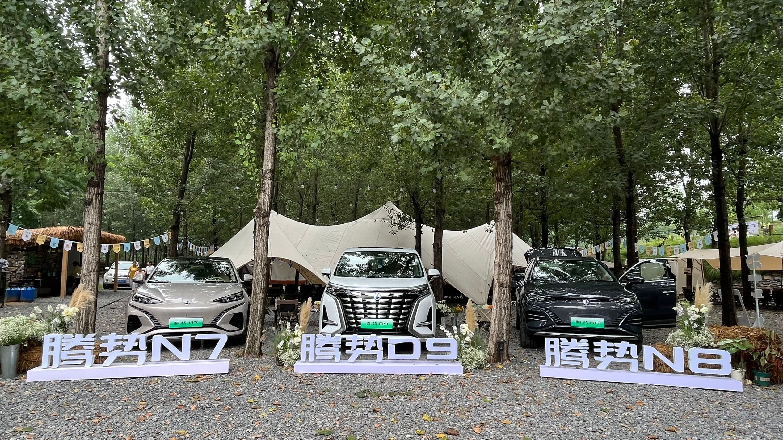腾势汽车“召唤神龙”，家族车型齐亮相与车友夏末共狂欢