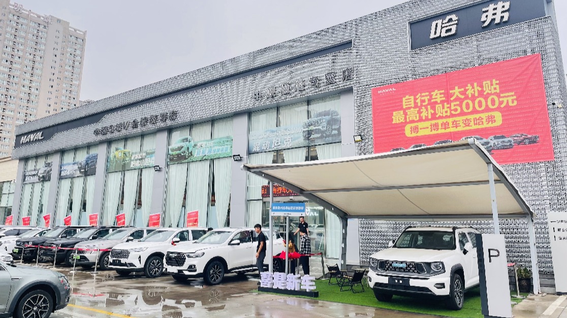呼朋引伴出游季，谁是你中意的“旅游搭子”？