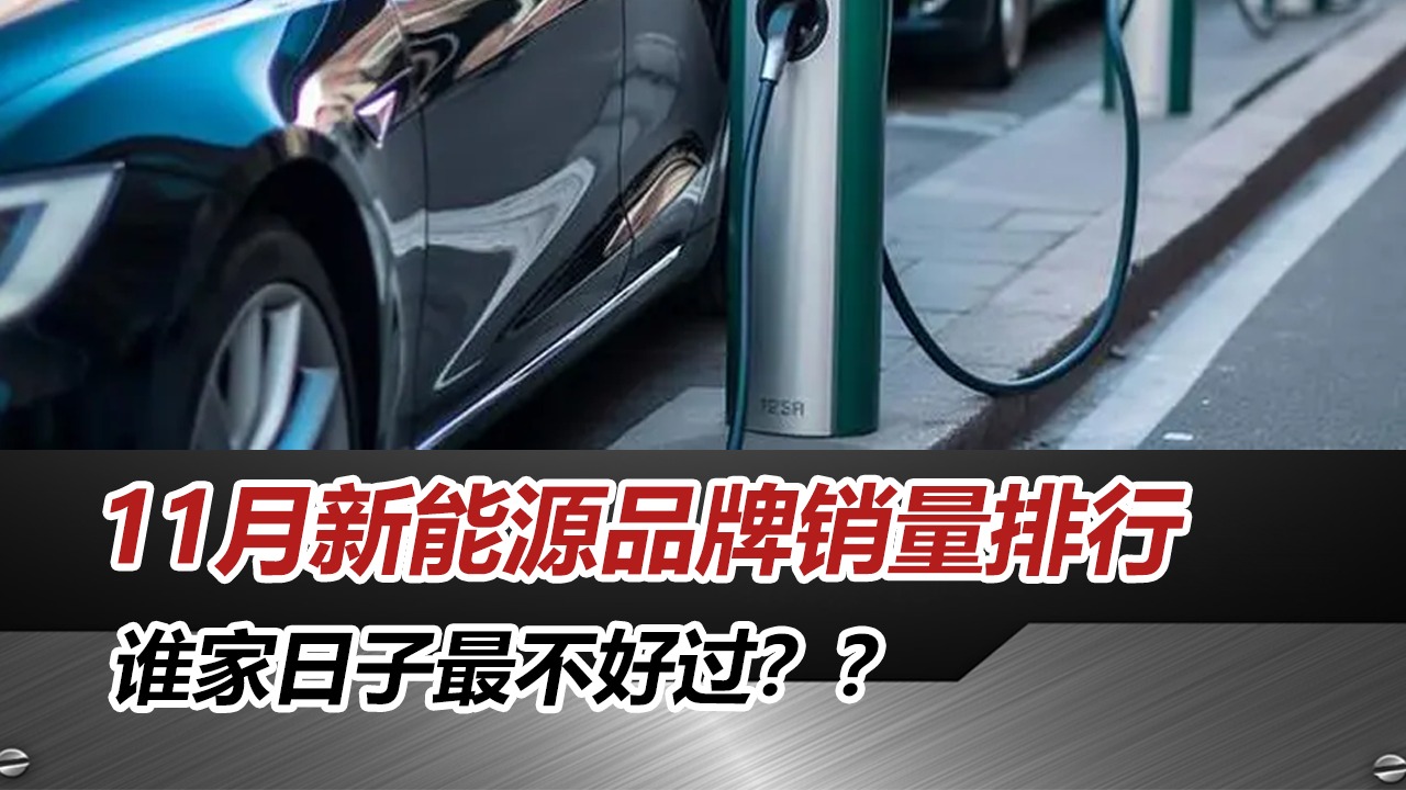 11月各大新能源车企销量排行，谁家日子最难过？