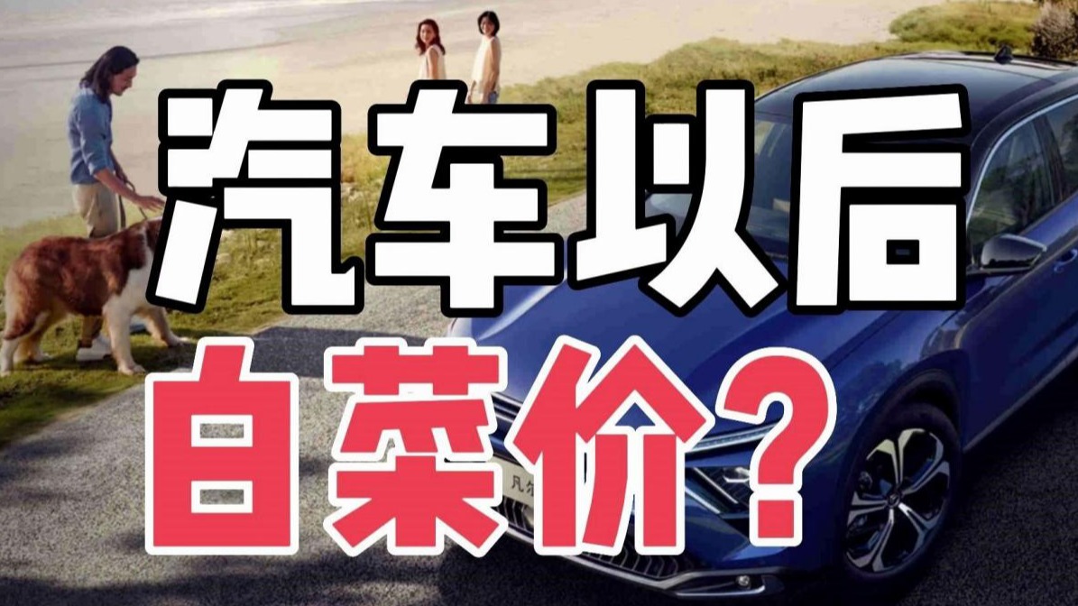 国内汽车圈价格战：把我给笑醒了