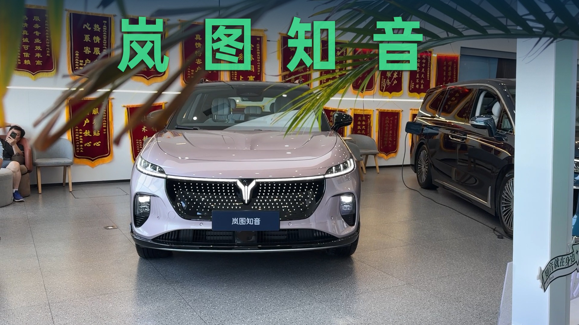 【视频】续航超900公里，岚图知音真有实力竞争特斯拉Model Y？