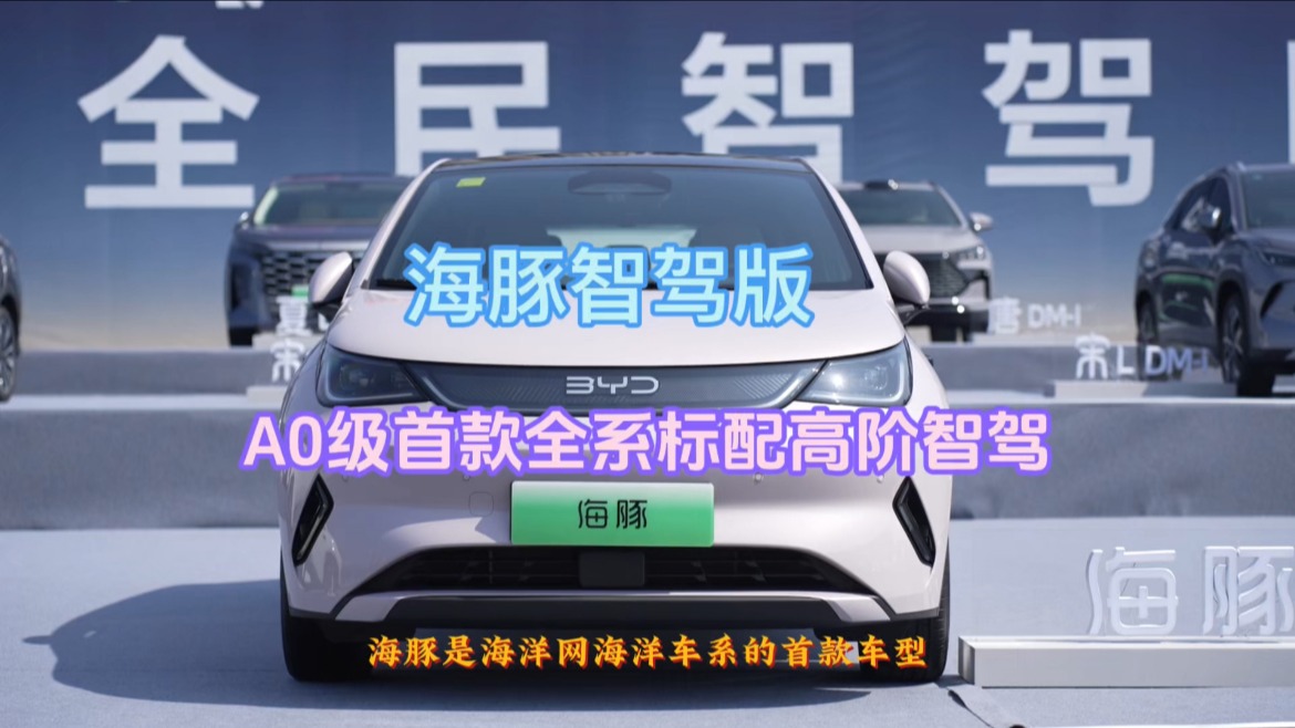 10万预算选海豚智驾版就对了，A0级首款全系标配高阶智驾