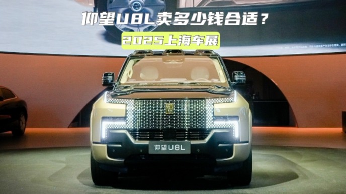 上海车展丨Cyber X走科幻路线,仰望U8L卖多少钱合适?