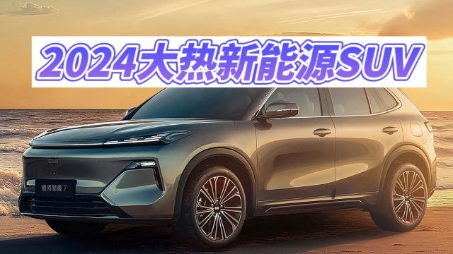 2024年插混SUV市场回顾