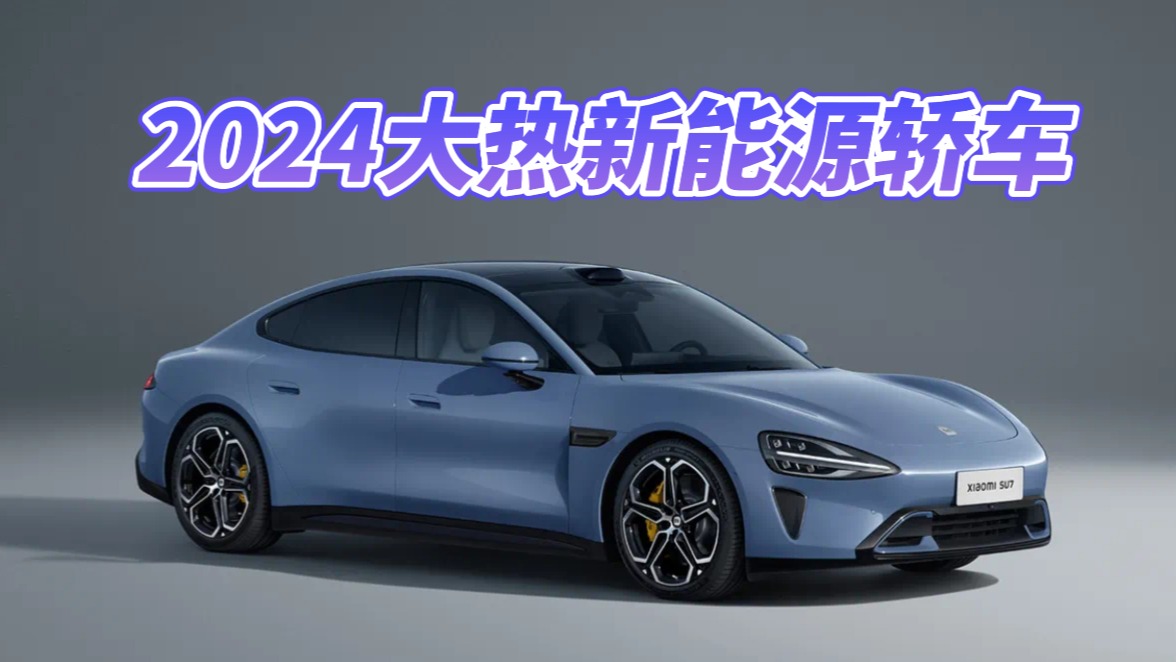 2024年纯电轿车市场回顾
