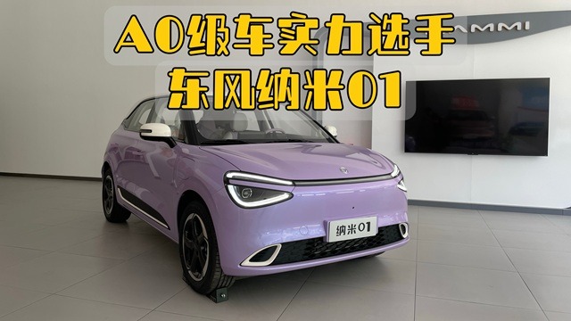 A0级实力选手东风纳米01