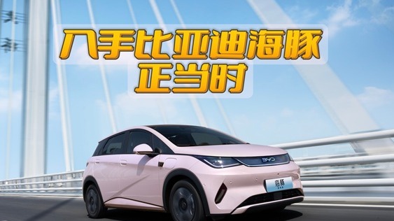 现在入手比亚迪海豚正当时