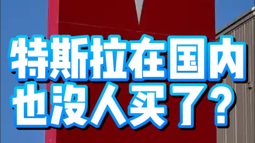 特斯拉在国内也没人买了？