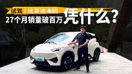 7万级天神之眼能不能行？海鸥这表现也太……