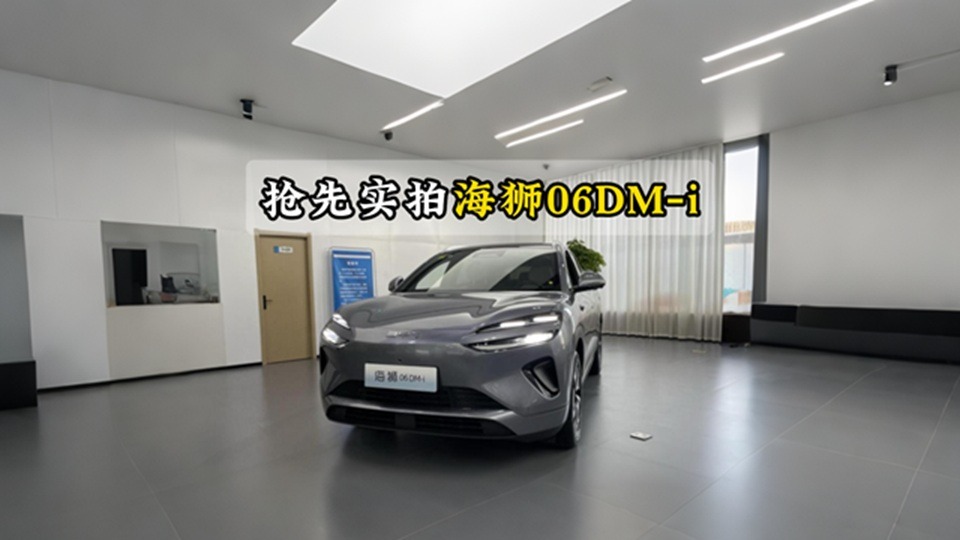 抢先实拍海狮06DM-i