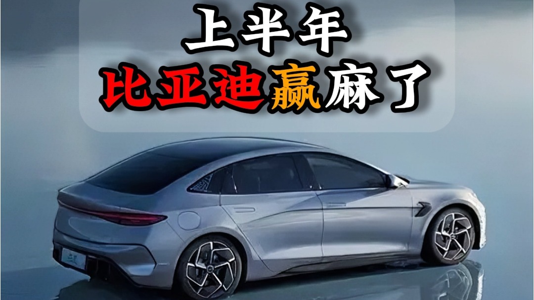 上半年比亚迪赢麻了