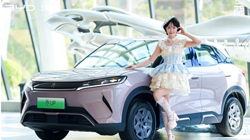 比亚迪元UP 301KM领航型郑州上市，年轻人看过来