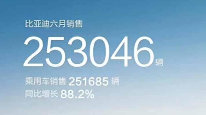 上半年销量125.56万 比亚迪荣膺中国“销冠” 亦是全球“销冠”